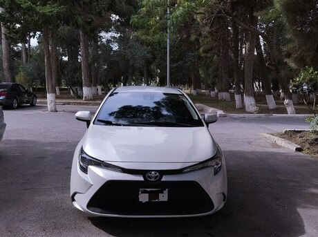 Toyota  2020