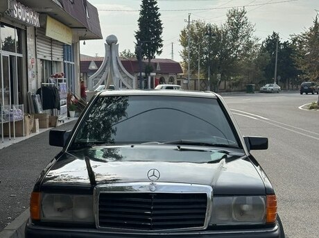 Mercedes 190 1991