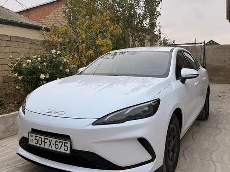 BYD  2025