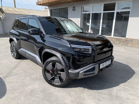 BYD  2025
