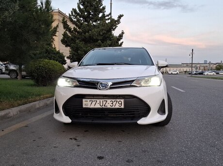 Toyota Corolla Fielder 2019