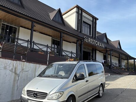 Mercedes Vito 2008
