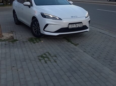 BYD  2025