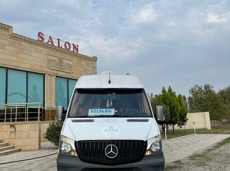 Mercedes Sprinter 315 2008