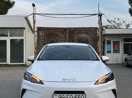 BYD  2025