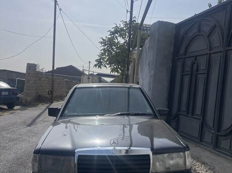 Mercedes 190 1991