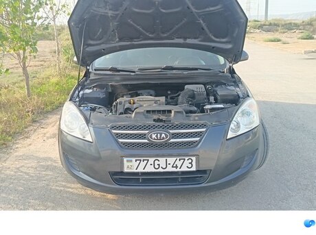 Kia  2008