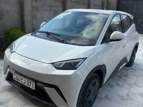 BYD Seagull 2024