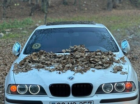 BMW 530 2002