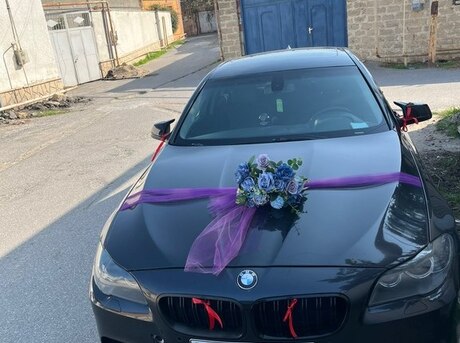 BMW 528 2012