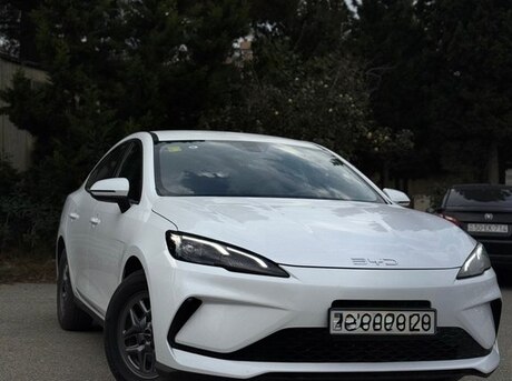 BYD  2025