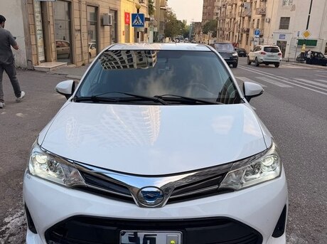 Toyota Corolla Fielder 2019