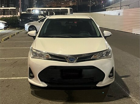 Toyota Corolla Fielder 2019