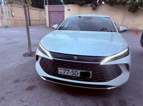 BYD  2024