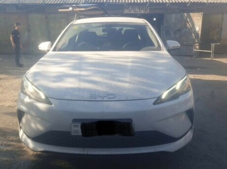 BYD  2025