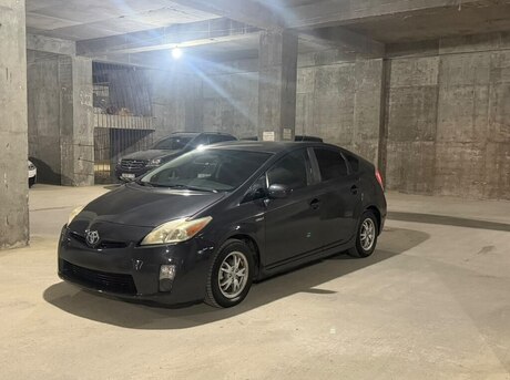 Toyota Prius 2010