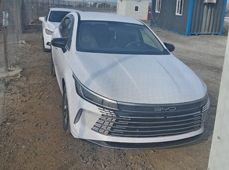 BYD Destroyer 05 2024
