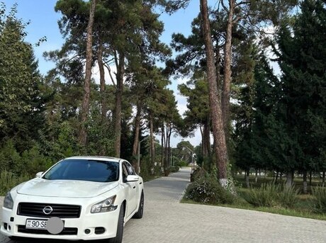 Nissan Maxima 2012