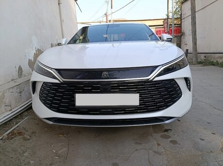 BYD  2024