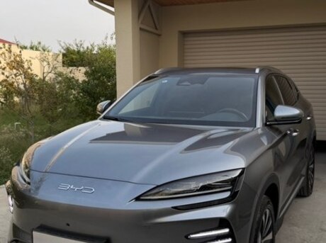 BYD  2023