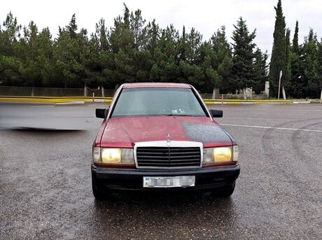 Mercedes 190 1991