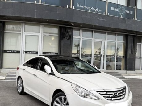 Hyundai Sonata 2010