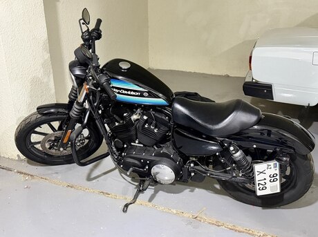 Harley-Davidson XL 1200 NS 2019