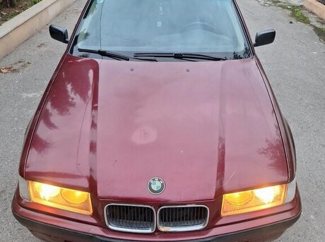 BMW 318 1992