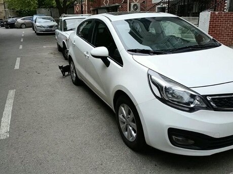 Kia Rio 2013