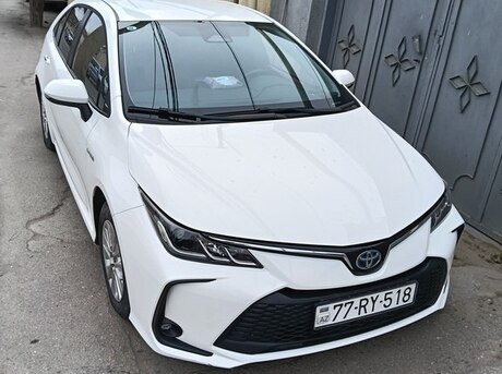Toyota Corolla 2024