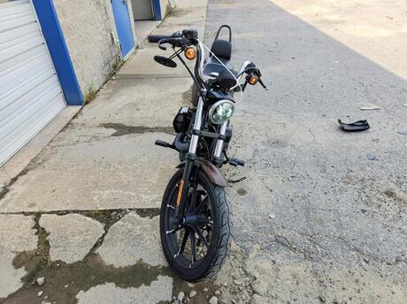 Harley-Davidson XL883N Sportster Iron 883 2019