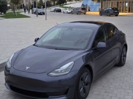 Tesla Model 3 2021