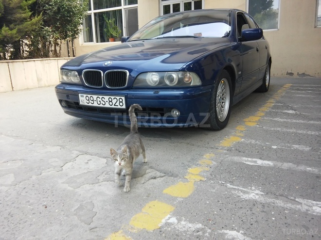 BMW 530 2002, 197,500 km - 3.0 l - Bakı