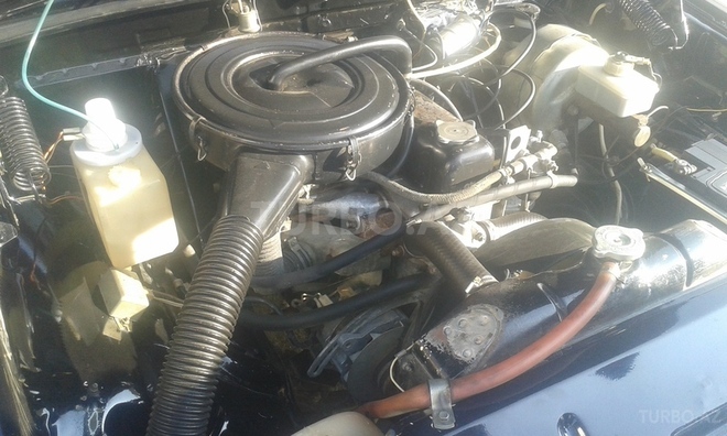 GAZ 31029 1994, 490,000 km - 2.4 л - Salyan