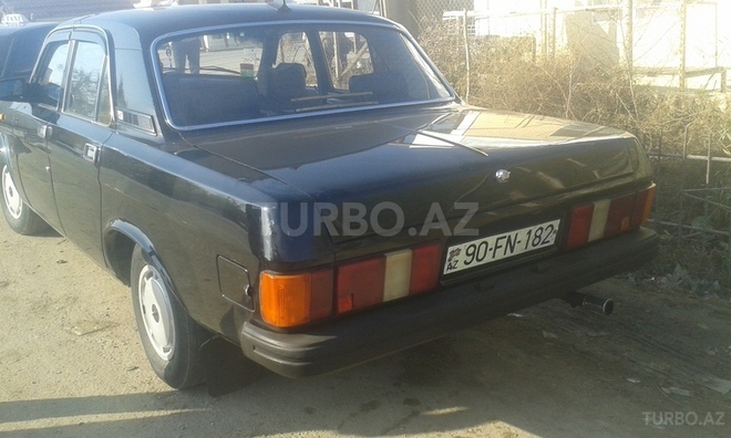GAZ 31029 1994, 490,000 km - 2.4 л - Salyan