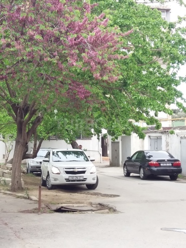 Chevrolet Cobalt 2014, 19,000 km - 0.2 l - Bakı