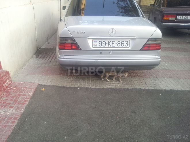 Mercedes E 280 1994, 341,000 km - 2.8 л - Bakı