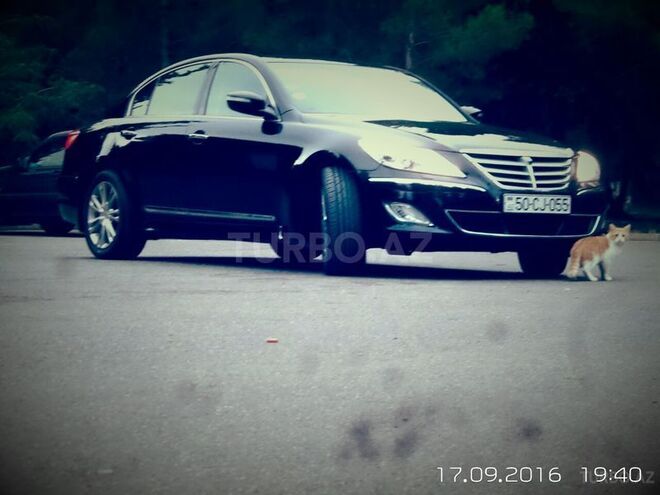 Hyundai Genesis 2012, 60,000 km - 3.8 l - Sumqayıt