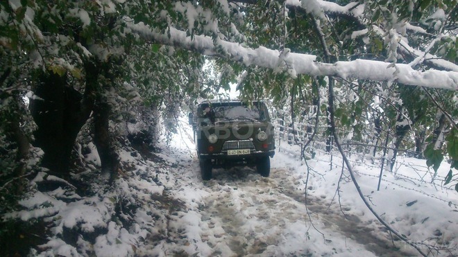 UAZ 3303 1991, 250,000 km - 2.4 l - Yardımlı