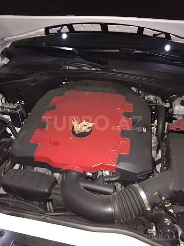 Chevrolet Camaro 2010, 11,300 km - 3.6 l - Bakı