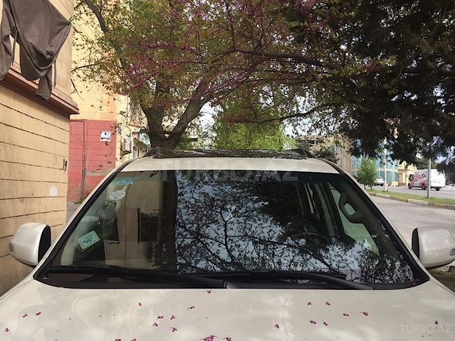 Toyota Prado 2013, 111,000 km - 2.7 l - Bakı