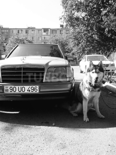 Mercedes E 200 1995, 450,000 km - 2.0 л - Bakı