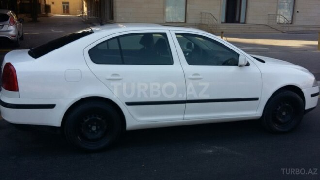 Skoda Octavia 2008, 246,000 km - 1.6 л - Bakı