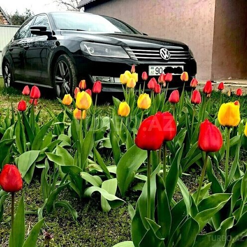 Volkswagen Passat 2013, 95 km - 0.3 l - Bakı