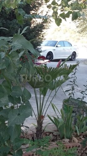 BMW 525 2005, 203,000 km - 2.5 l - Bakı