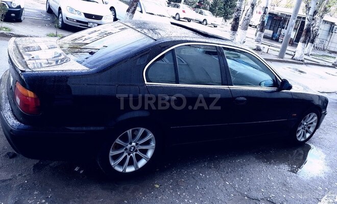 BMW 525 2001, 215,369 km - 2.5 l - Sumqayıt