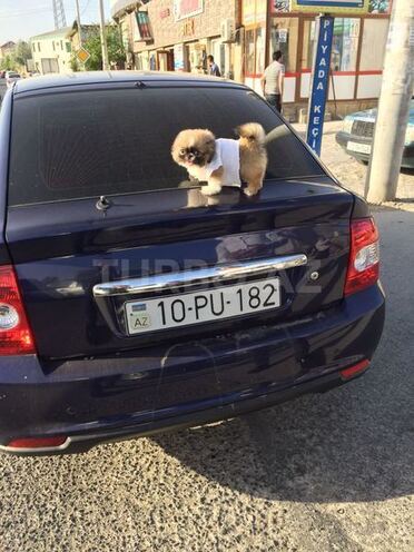 LADA (VAZ) Priora 2013, 130,833 km - 1.6 l - Xırdalan