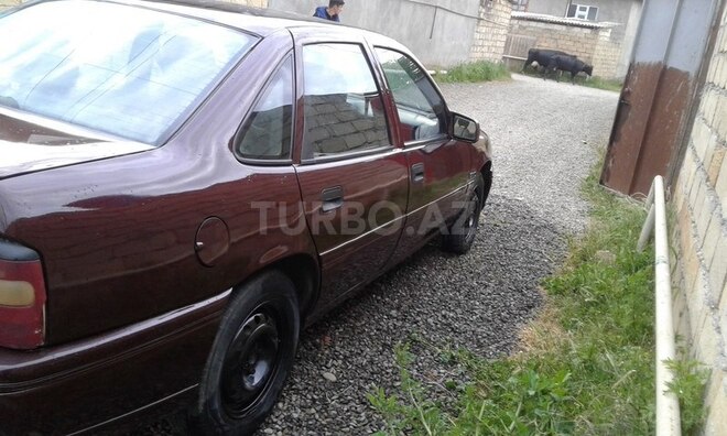 Opel Vectra 1994, 28,500 km - 0.2 l - Lənkəran