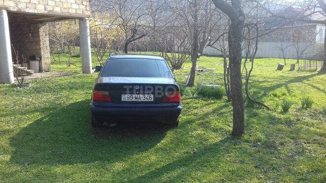 BMW 318 1995, 320,000 km - 1.8 l - İsmayıllı