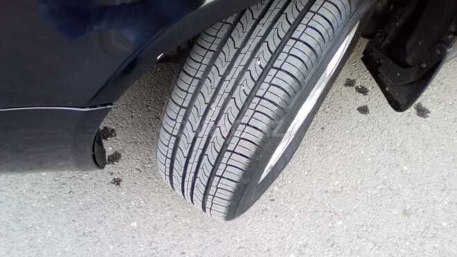 Hyundai Sonata 2006, 241,000 km - 2.4 л - Bakı